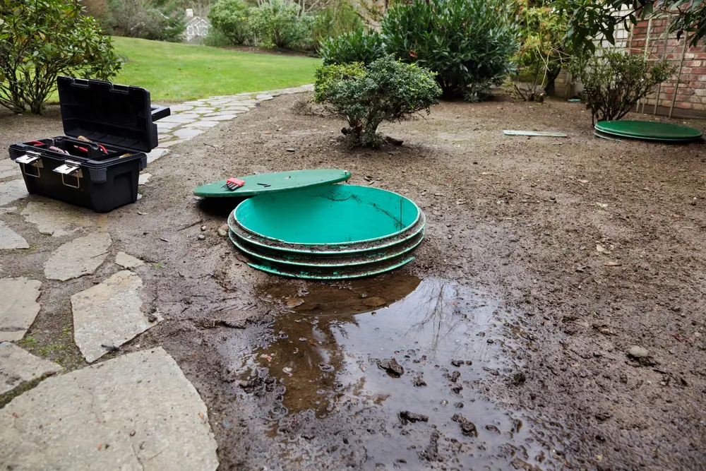 Wet ground around a septic tank